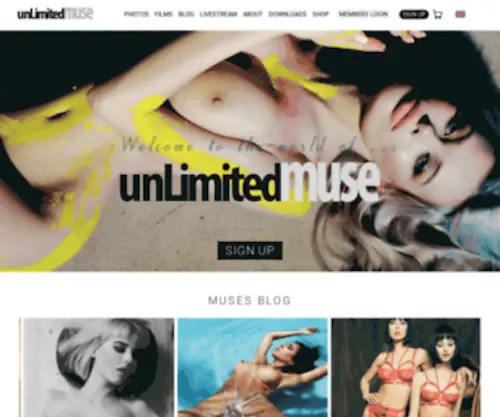 Unlimitedmuse.com(Unlimited Muse) Screenshot