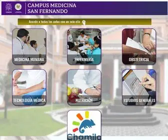 UNMSM.online(Plataformas Virtuales San Fernando UNMSM) Screenshot