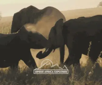 Upriseafricaexplorer.com(Kilimanjaro Tanzania Tours) Screenshot