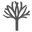 Urbanoak.ae Favicon