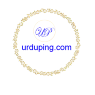 Urdupig.com Logo