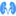 Urolog.az Favicon