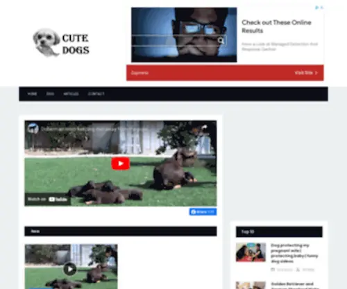 URTNV.com(Cute Dogs) Screenshot