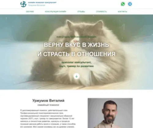 Urzhumov.ru(Создание сайтов и реклама в интернете) Screenshot