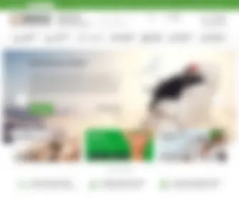 US-Medica.ru(US MEDICA) Screenshot