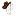 Usaradyo.com Favicon