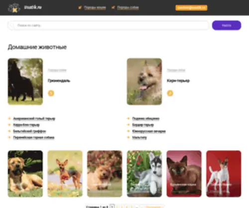 Usatik.ru(Домашние животные) Screenshot