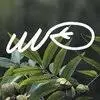 Usefulwildplants.org Logo