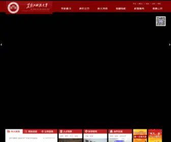 USTH.net.cn(USTH) Screenshot