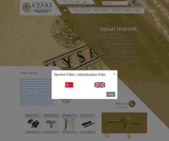 Uysalhidrolik.com(Uysal Hidrolik) Screenshot