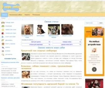 V-Mire-Sobak.ru(В мире собак) Screenshot