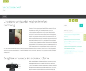 Vacanzesenesi.it(Domini Premium .it) Screenshot