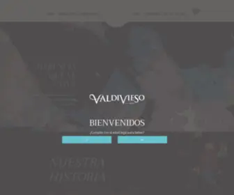 Valdiviesovineyard.com(Valdivieso) Screenshot