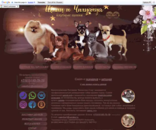 Valentra.ru(Valentra Star питомник) Screenshot