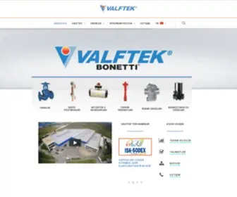 Valftek.com(VALFTEK®) Screenshot