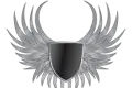 Valkyriesigns.com Favicon