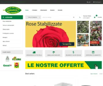 Valledeifiori.it(Valle dei Fiori Garden Mantova online shop e catalogo) Screenshot