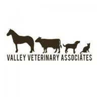 Valleyveterinaryassociates.com Favicon