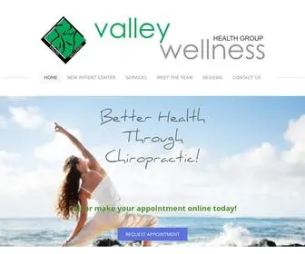 Valleywellnesshealthgroup.com(San Jose Chiropractor) Screenshot