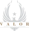 Valorresiliency.com Logo
