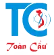 Vanchuyentoancau.com.vn Favicon