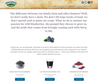 Vandykblueberries.ca(Van Dyk Blueberries) Screenshot