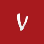 Vanini.com.br Favicon