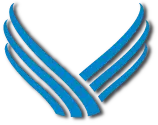 Vantage-Asset.com Logo