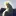Vaticancatholique.com Favicon