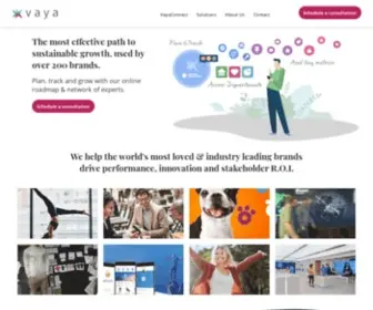 Vayaconnect.com(The most effective path to the sustainable growth) Screenshot