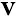 Vbeltoutlet.com Favicon