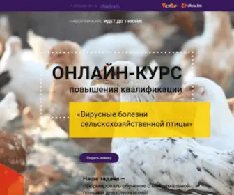 Vcube.online(Онлайн) Screenshot