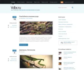 VDBR.ru(Блог) Screenshot
