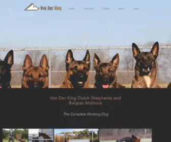 VDkdogs.com(Von Der King Kennels Dutch Shepherds and Belgian Malinois) Screenshot