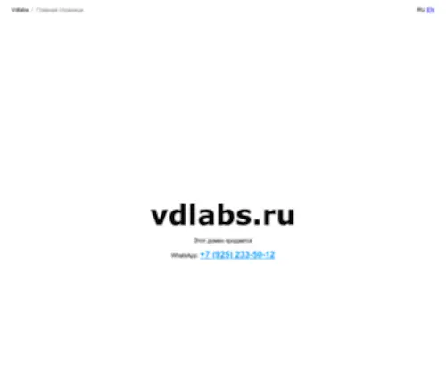 Vdlabs.ru(Ledokolov's) Screenshot