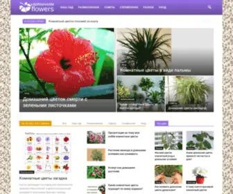 Vdohnovenie-Flowers.ru(Комнатные) Screenshot