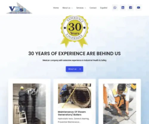 Vdsi.com.mx(Seguridad e Higiene Industrial) Screenshot