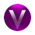 Veb100.com Favicon