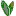 Vechnayamolodost.ru Favicon