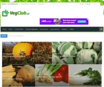 Vegclub.uk(Vegetable Gardening) Screenshot