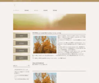 Vegeshopper.com(SEO対策によりお金が掛けられるようになったのは) Screenshot