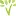 Vegetarianforlife.org.uk Favicon