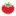 Vegewarszawa.pl Favicon