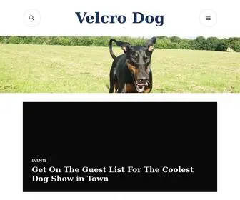 Velcrodog.co.uk(Velcro Dog) Screenshot