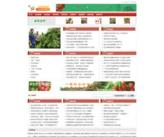 Vellvera.com(宜宾租房网) Screenshot