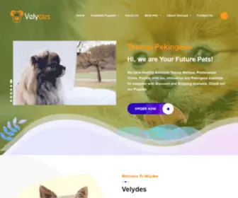 Velydes.com(Teacup Chihuahua) Screenshot