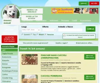 Vendita-Cuccioli.com(Cuccioli di razza) Screenshot