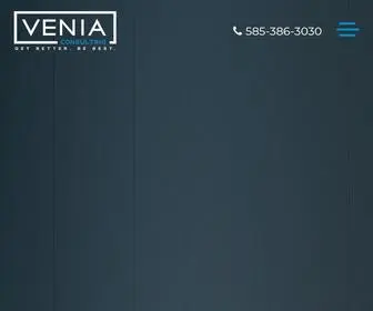 Veniaconsulting.com(Venia) Screenshot