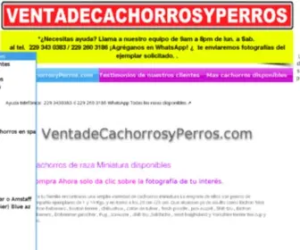 Ventadecachorrosyperros.com(Venta de cachorros perros de raza) Screenshot