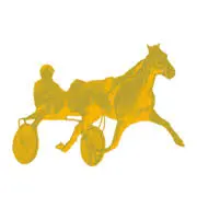 Ventes-Caen-Trot.com Favicon